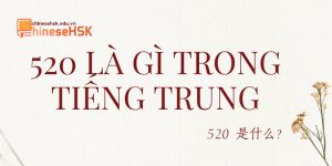 520 là gì trong tiếng trung