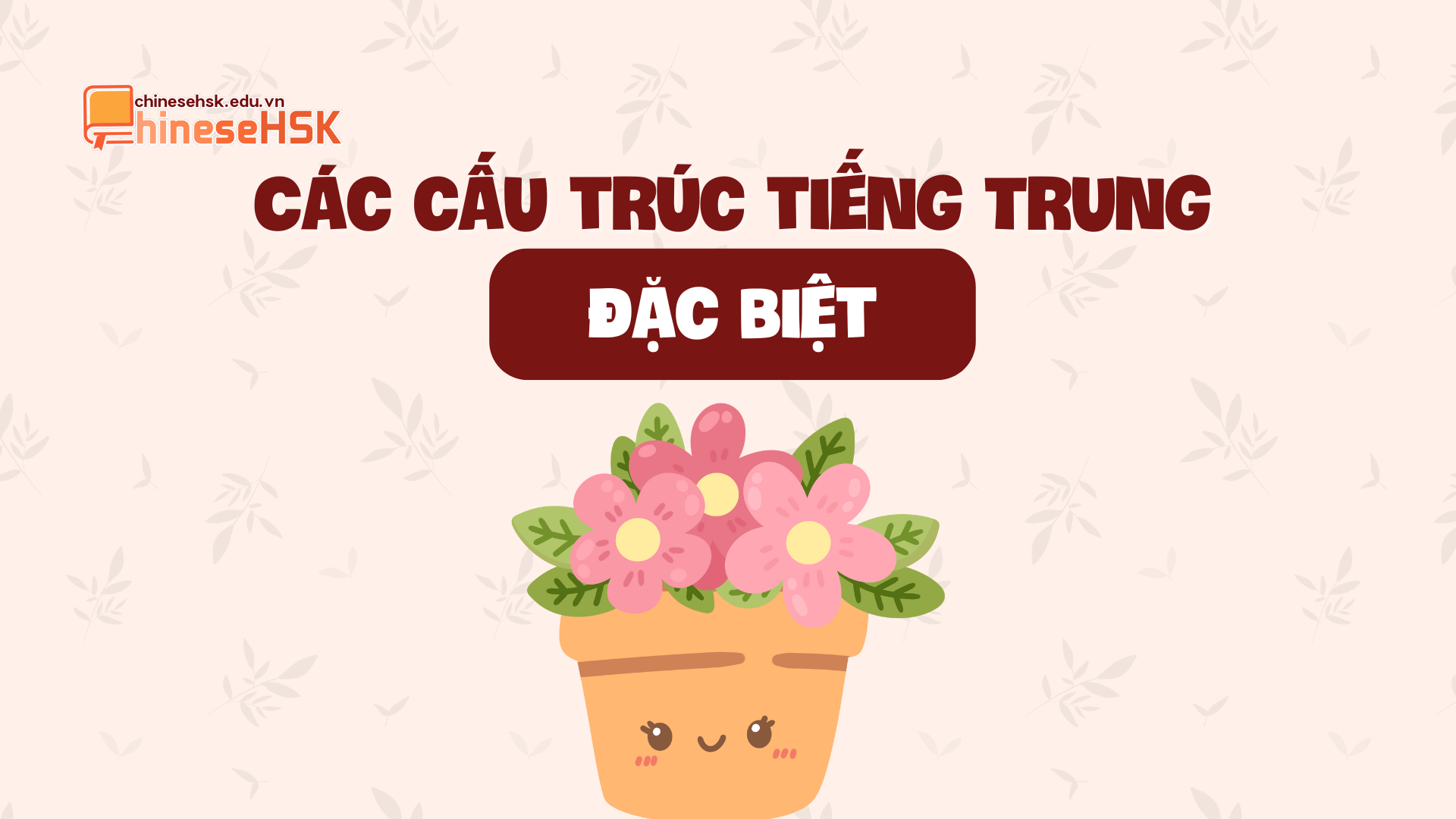 Các cấu trúc tiếng Trung đặc biệt