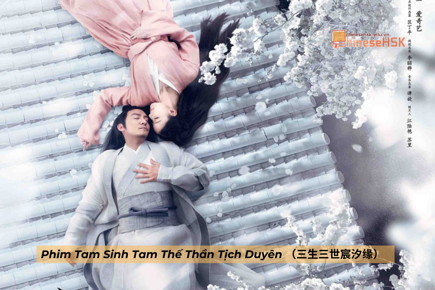 Phim Tam Sinh Tam Thế Thần Tịch Duyên（三生三世宸汐缘）