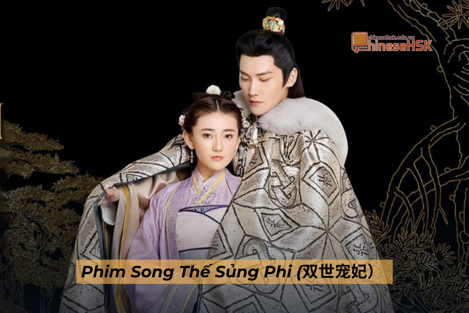 Phim Song Thế Sủng Phi (双世宠妃）