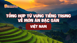 TỔNG HỢP TỪ VỰNG TIẾNG TRUNG VỀ MÓN ĂN ĐẶC SẢN VIỆT NAM