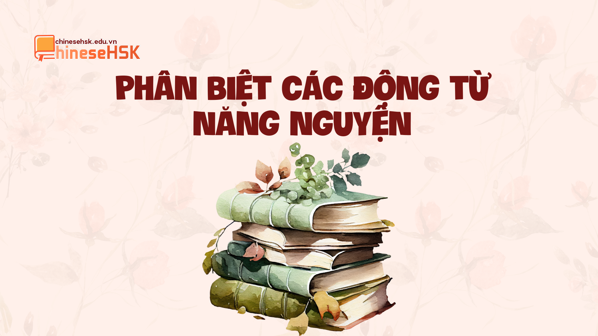 Phân biệt các động từ năng nguyện