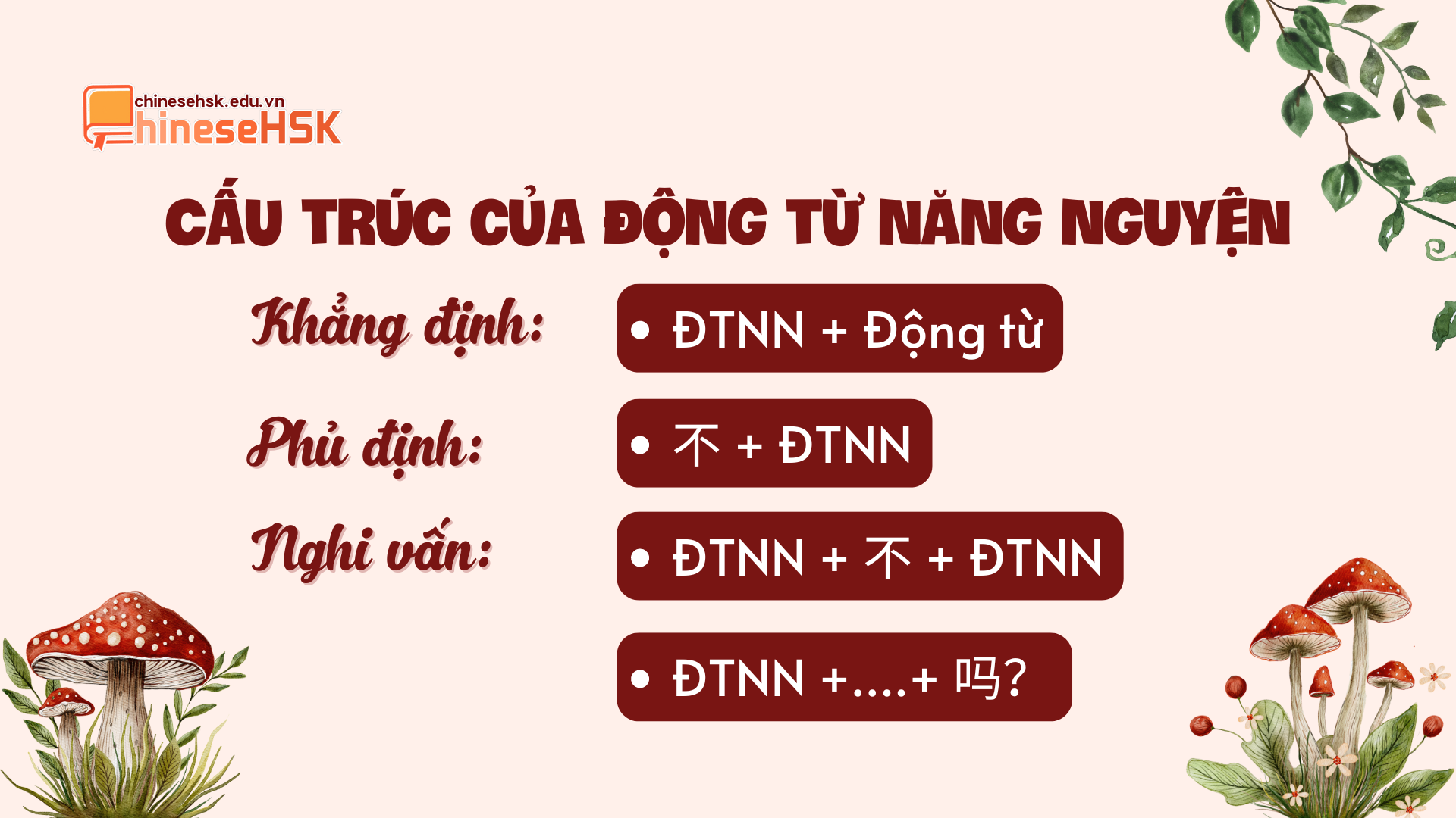 Cấu trúc ngữ pháp của động từ năng nguyện