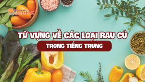 TỪ VỰNG VỀ CÁC LOẠI RAU CỦ TRONG TIẾNG TRUNG