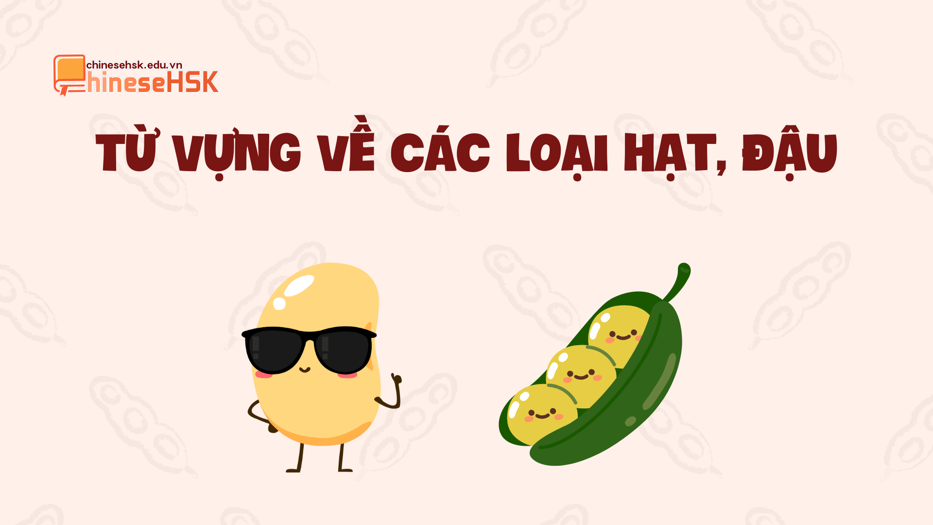 Từ vựng về các loại hạt, đậu trong tiếng Trung