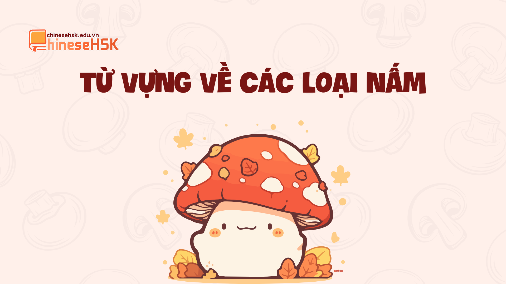 Từ vựng về các loại nấm trong tiếng Trung