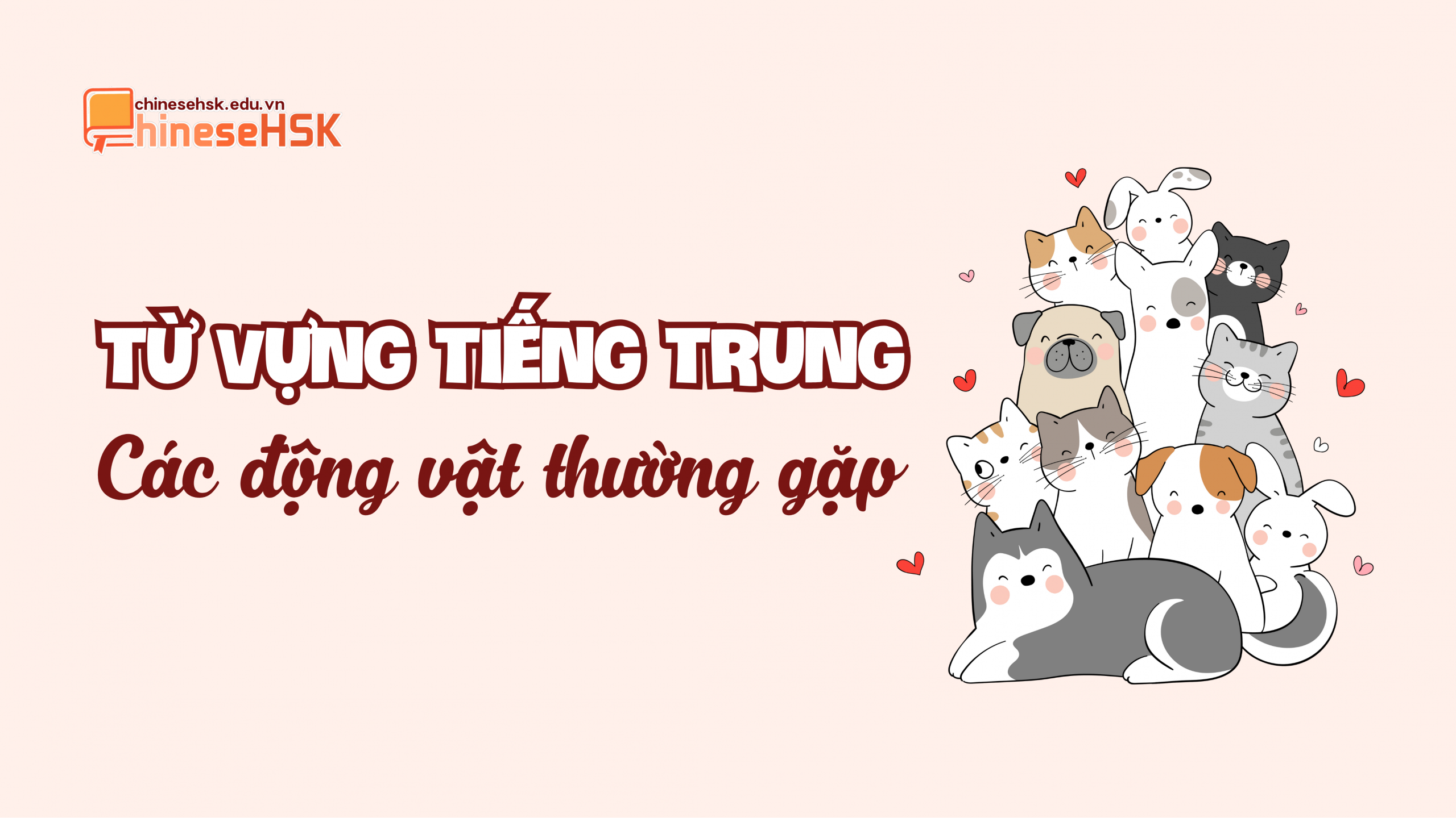Từ vựng tiếng Trung các động vật thường gặp