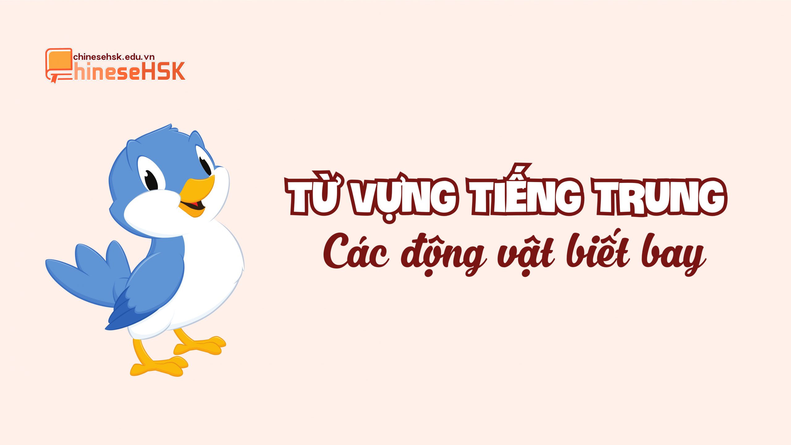 Từ vựng tiếng Trung các động vật biết bay