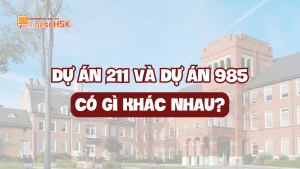 DỰ ÁN 211 VÀ DỰ ÁN 985 CÓ GÌ KHÁC NHAU?