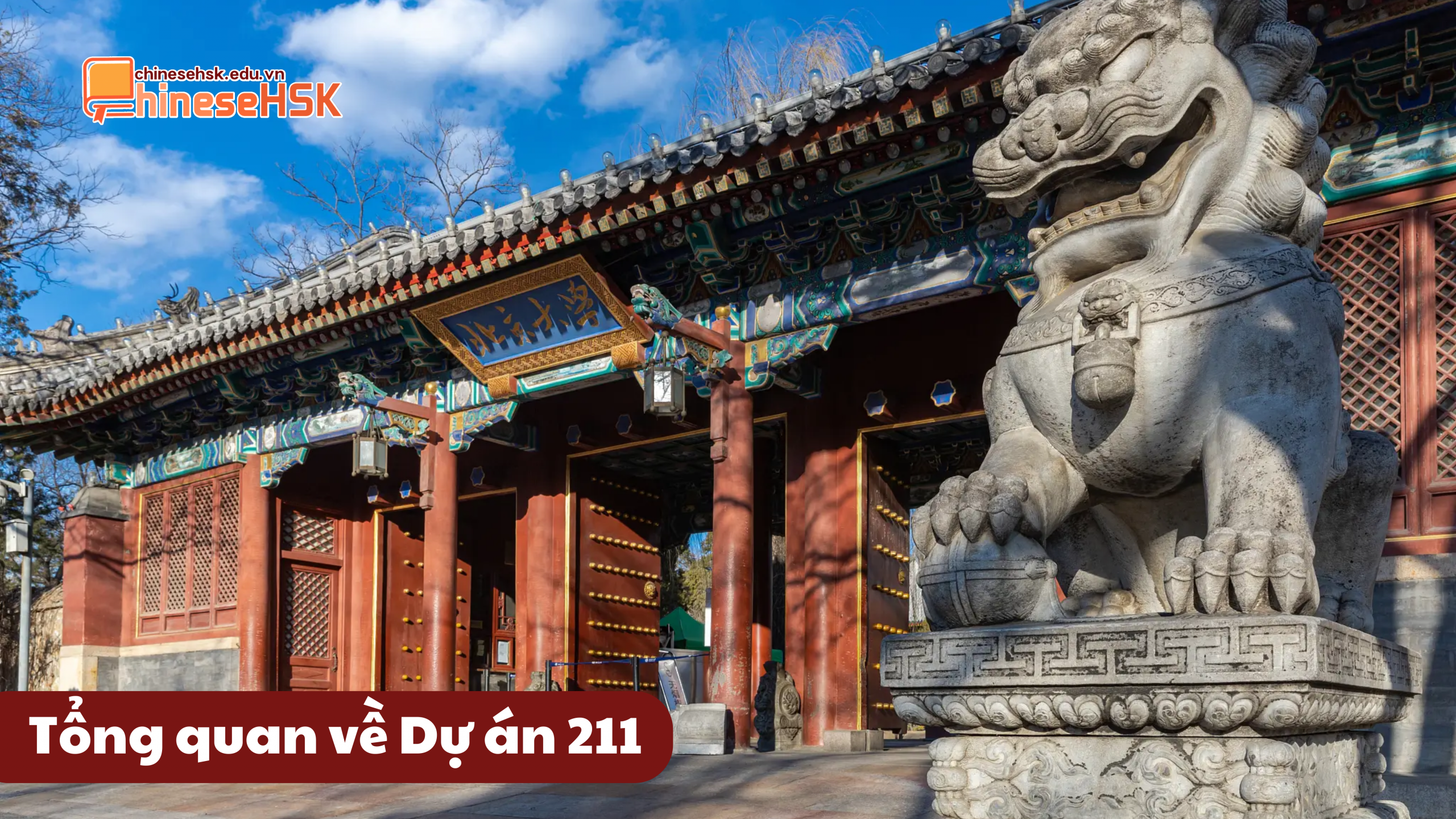 Tổng quan về Dự án 211
