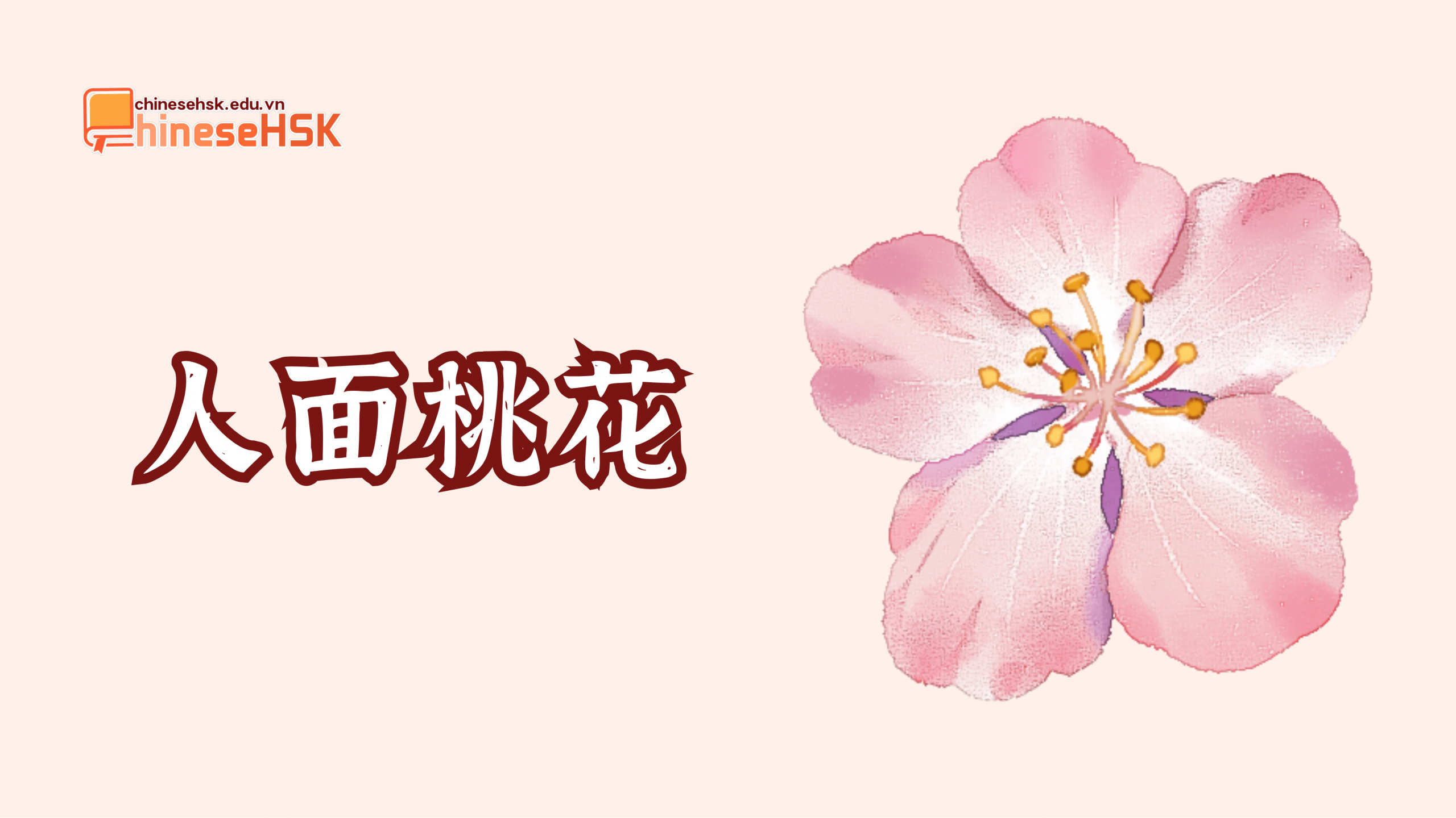 TỔNG HỢP THÀNH NGỮ TIẾNG TRUNG LIÊN QUAN ĐẾN HOA 2 人面桃花 /rén miàn táo huā/