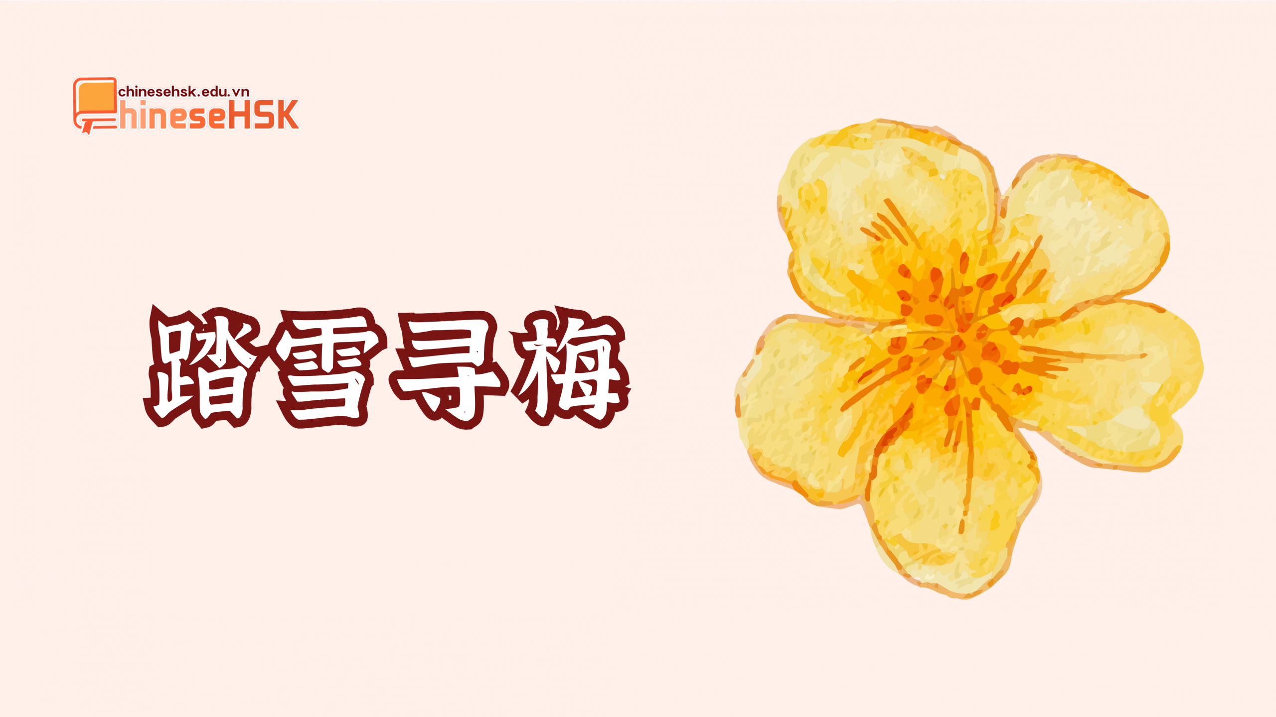TỔNG HỢP THÀNH NGỮ TIẾNG TRUNG LIÊN QUAN ĐẾN HOA 3 踏雪寻梅 /tà xuě xún méi/
