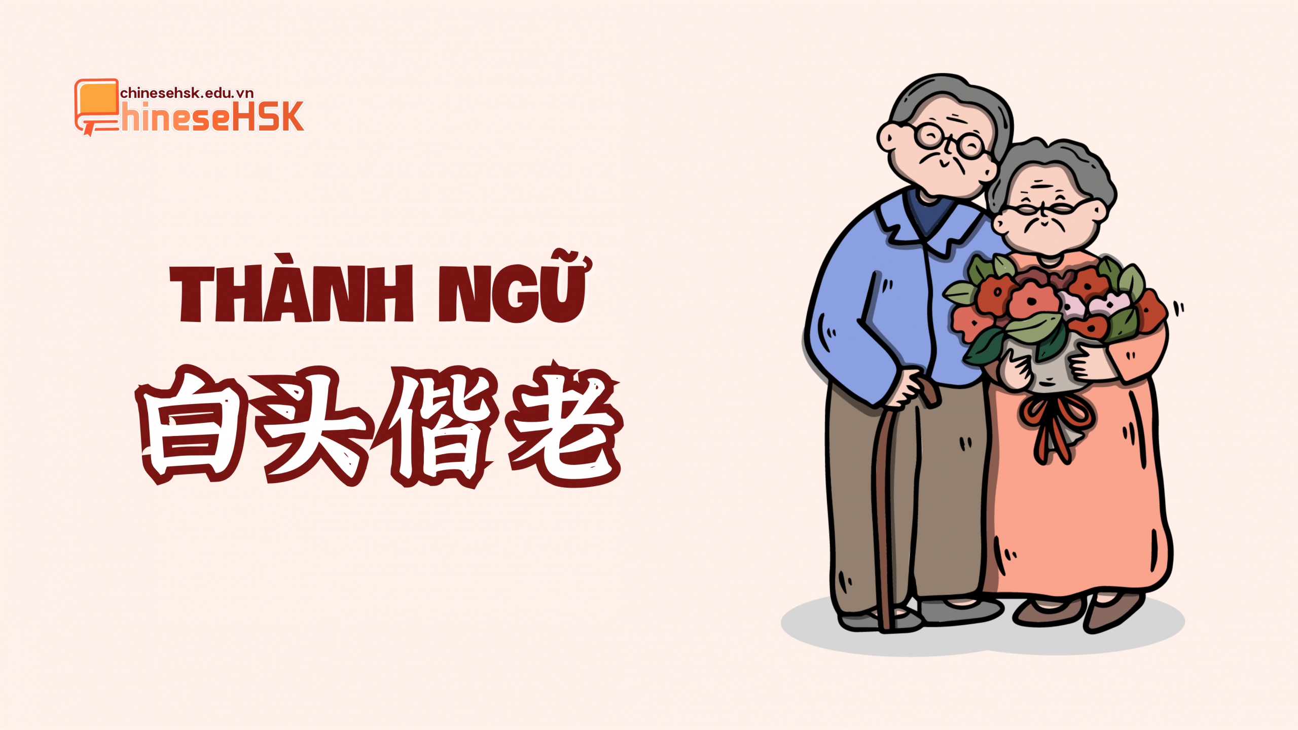 Thành ngữ 白头偕老 /bái tóu xié lǎo/