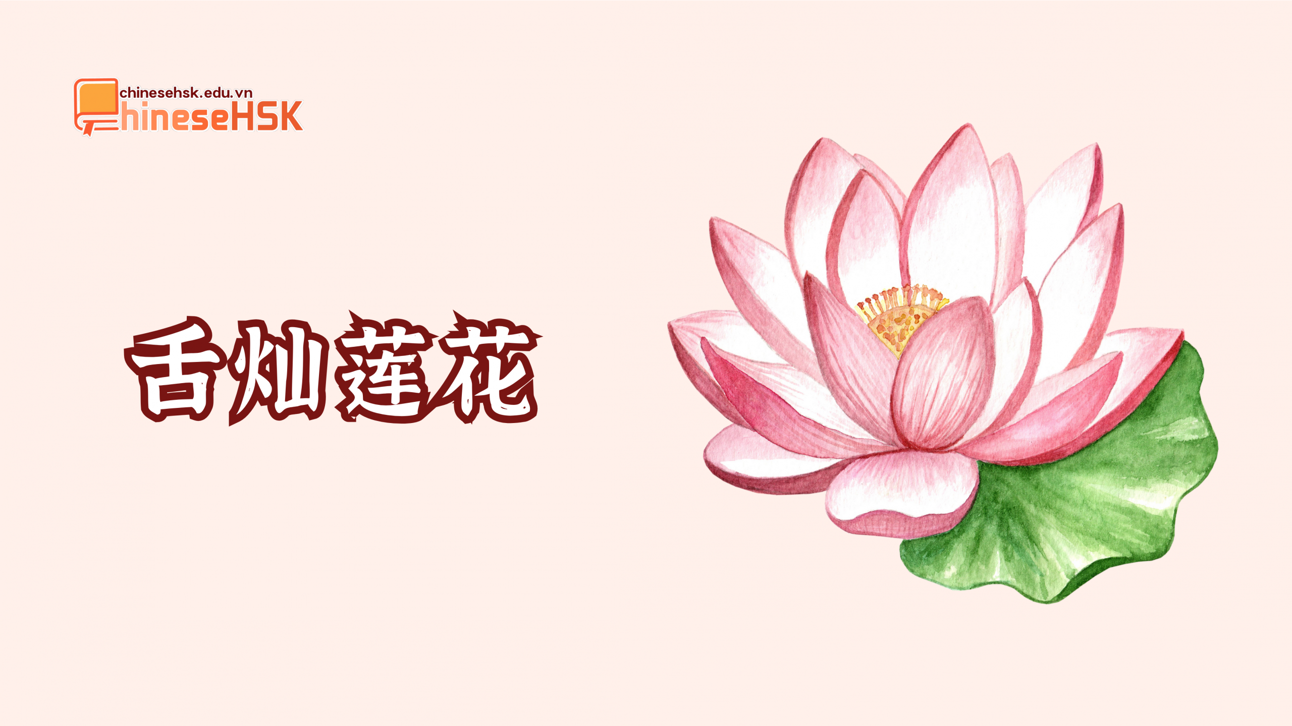 TỔNG HỢP THÀNH NGỮ TIẾNG TRUNG LIÊN QUAN ĐẾN HOA 4 舌灿莲花 /shé càn liánhuā/