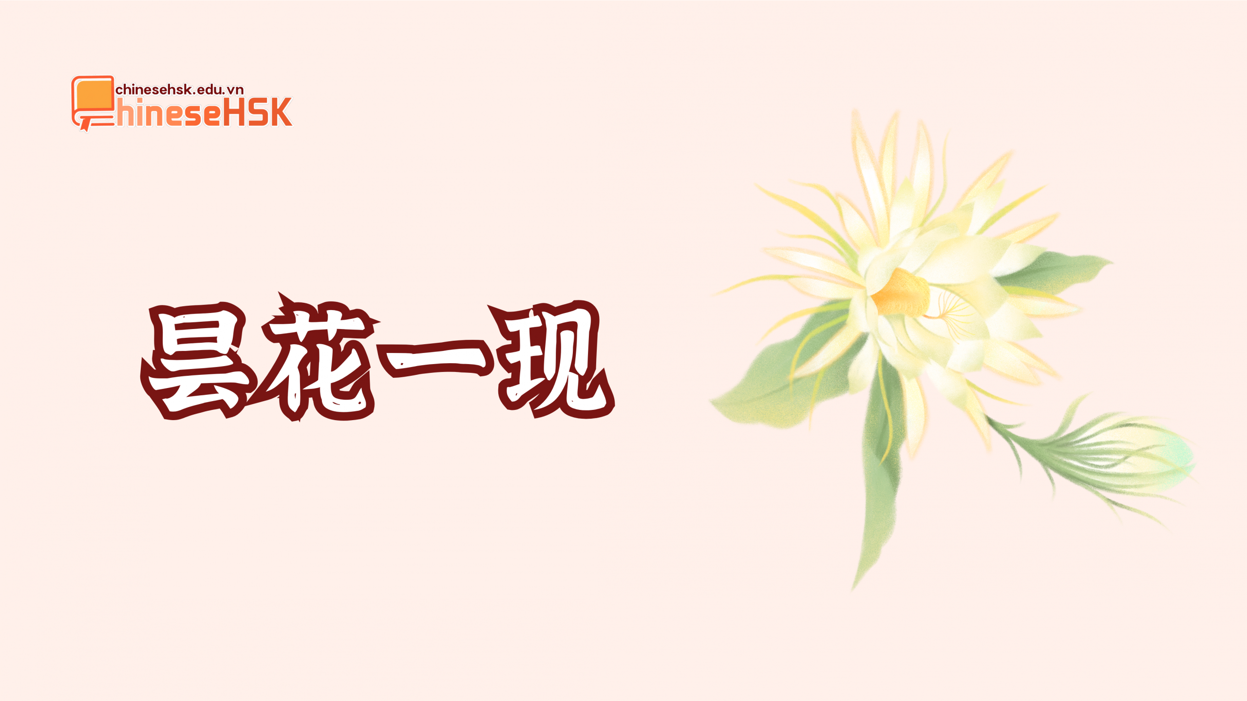 TỔNG HỢP THÀNH NGỮ TIẾNG TRUNG LIÊN QUAN ĐẾN HOA 5 昙花一现 /tánhuāyíxiàn/