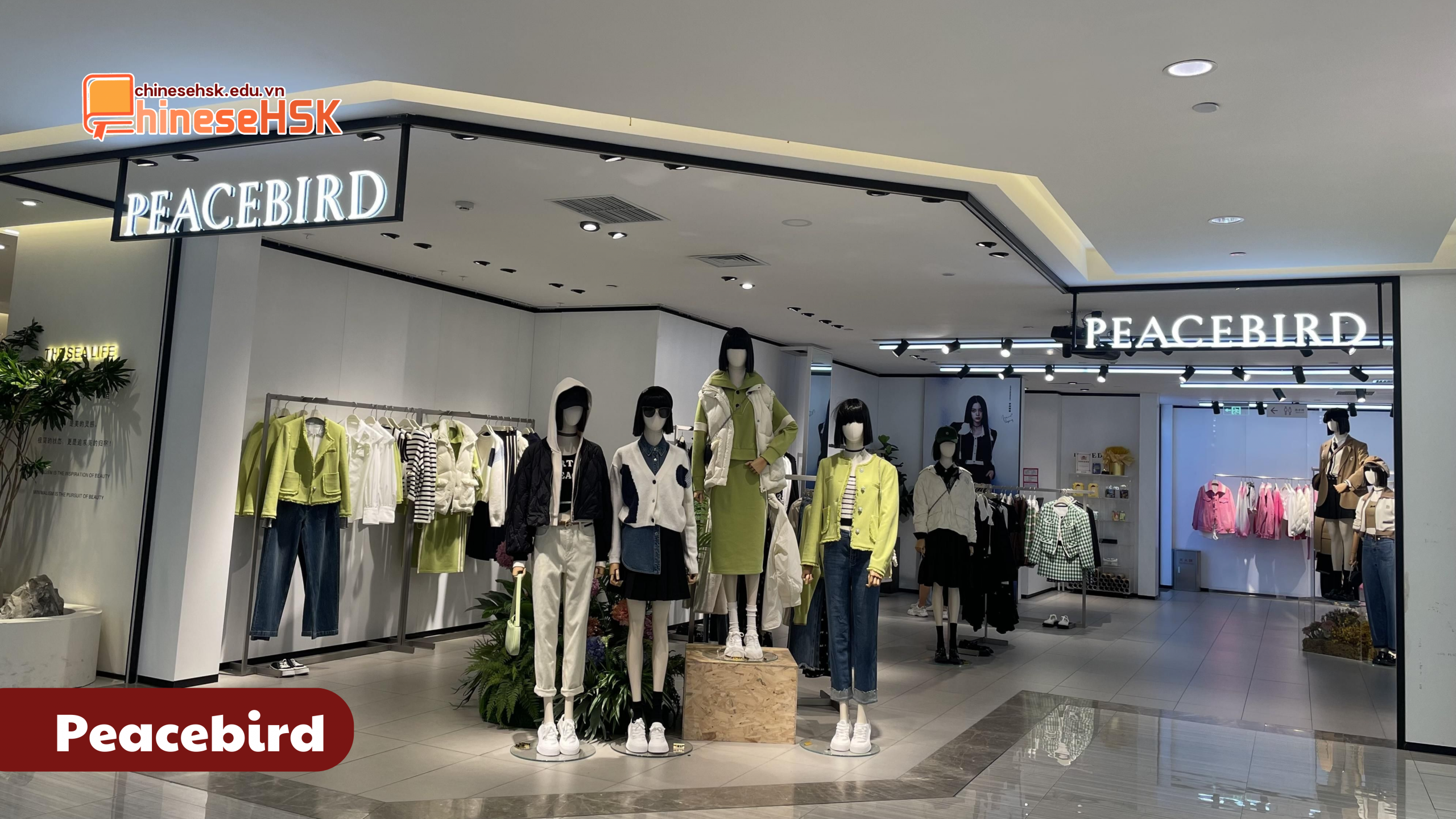 CÁC THƯƠNG HIỆU QUẦN ÁO ĐƯỢC ƯA CHUỘNG TẠI TRUNG QUỐC 2 Peacebird