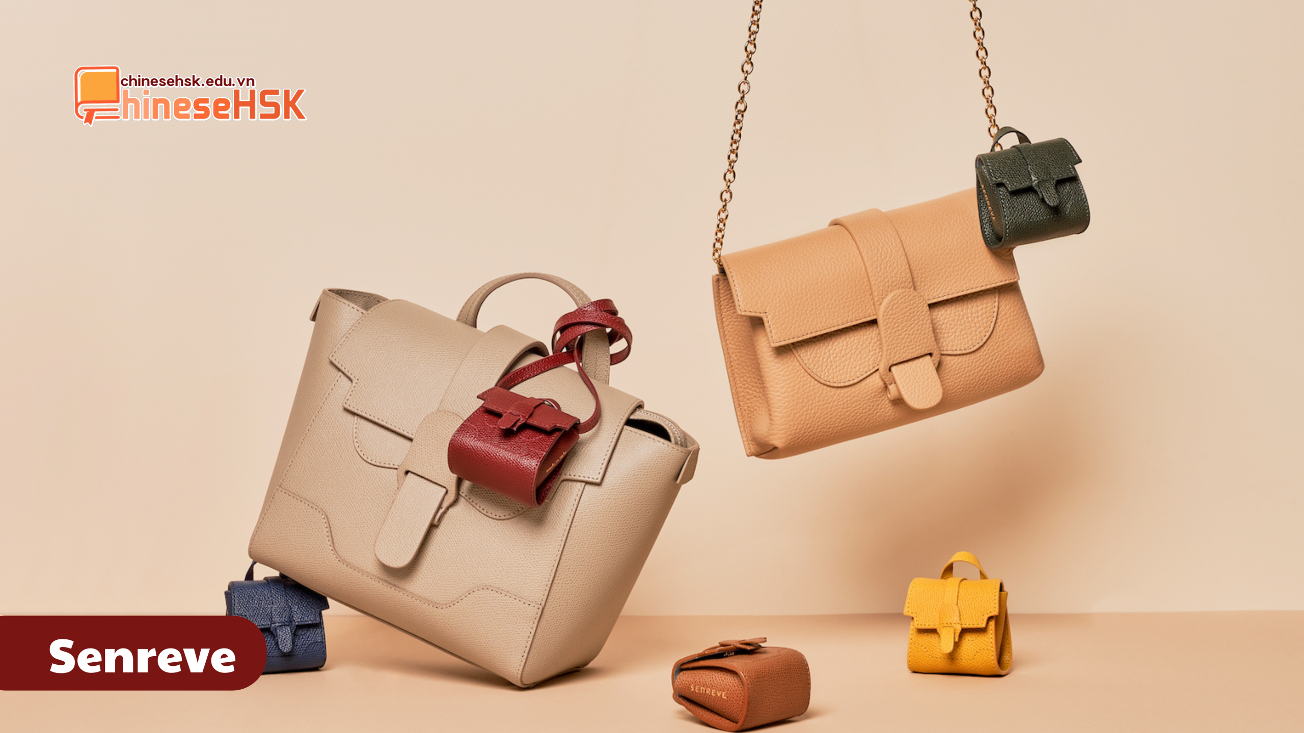 TOP 5 THƯƠNG HIỆU TÚI XÁCH NỔI TIẾNG TẠI TRUNG QUỐC 2 Senreve