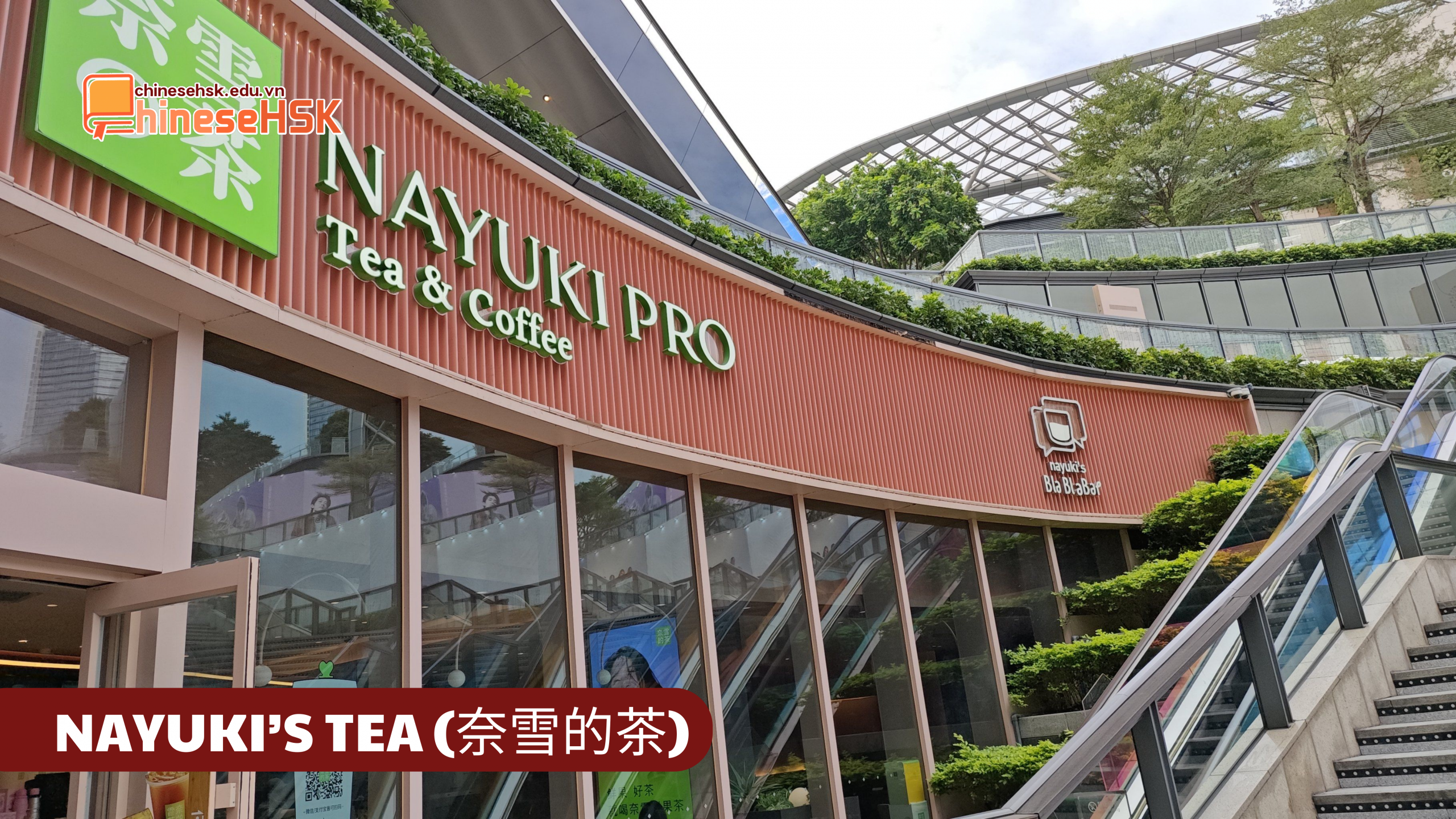 CÁC THƯƠNG HIỆU TRÀ SỮA ĐƯỢC ƯA CHUỘNG TẠI TRUNG QUỐC 3 NAYUKI’S TEA (奈雪的茶)