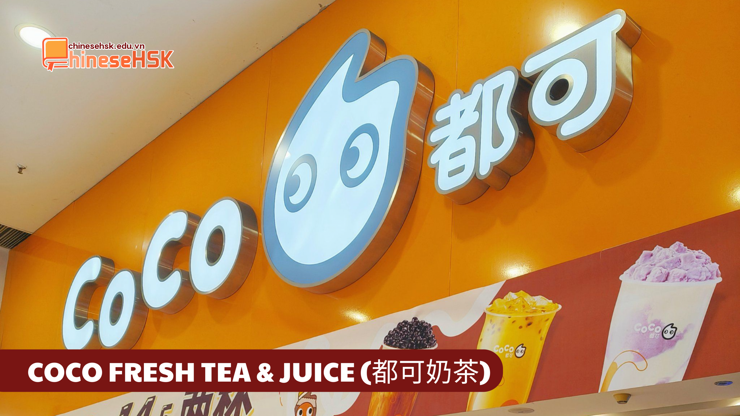 CÁC THƯƠNG HIỆU TRÀ SỮA ĐƯỢC ƯA CHUỘNG TẠI TRUNG QUỐC 5 COCO FRESH TEA & JUICE (都可奶茶)