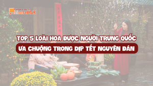 TOP 5 LOÀI HOA ĐƯỢC NGƯỜI TRUNG QUỐC ƯA CHUỘNG TRONG DỊP TẾT NGUYÊN ĐÁN