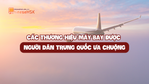 CÁC THƯƠNG HIỆU MÁY BAY ĐƯỢC NGƯỜI DÂN TRUNG QUỐC ƯA CHUỘNG