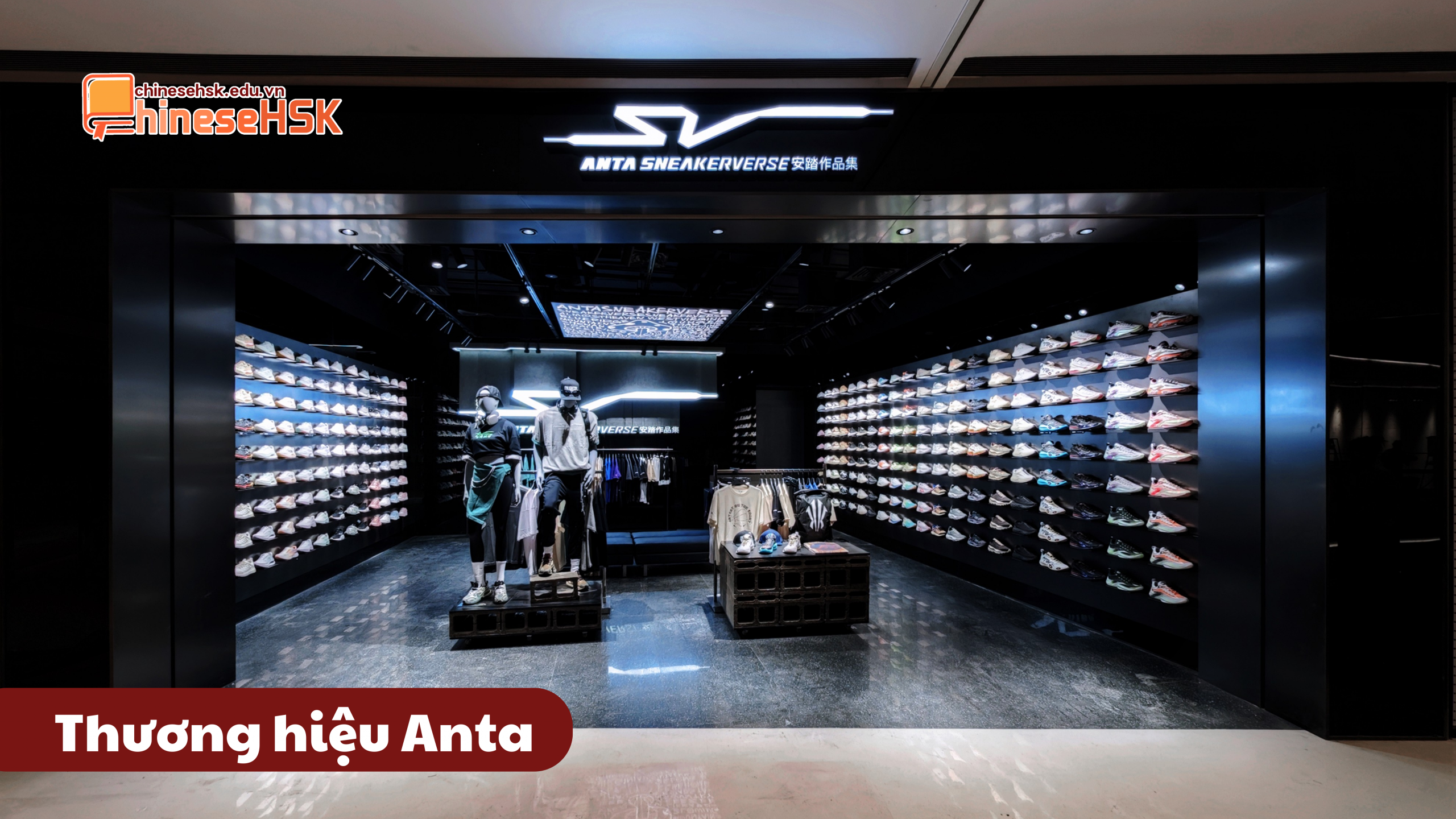 Thương hiệu Anta