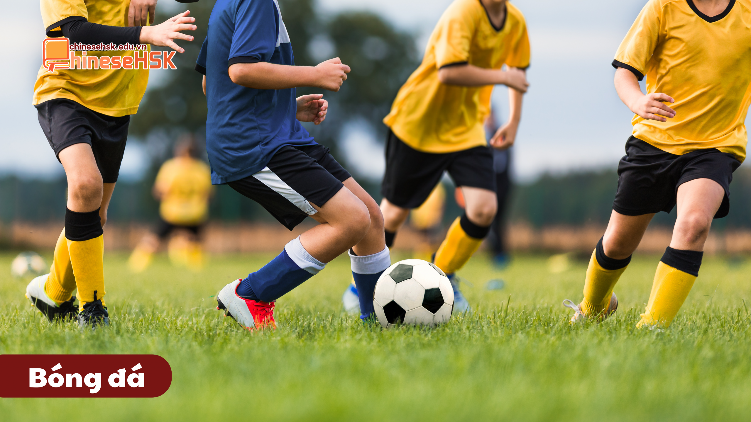Bóng đá