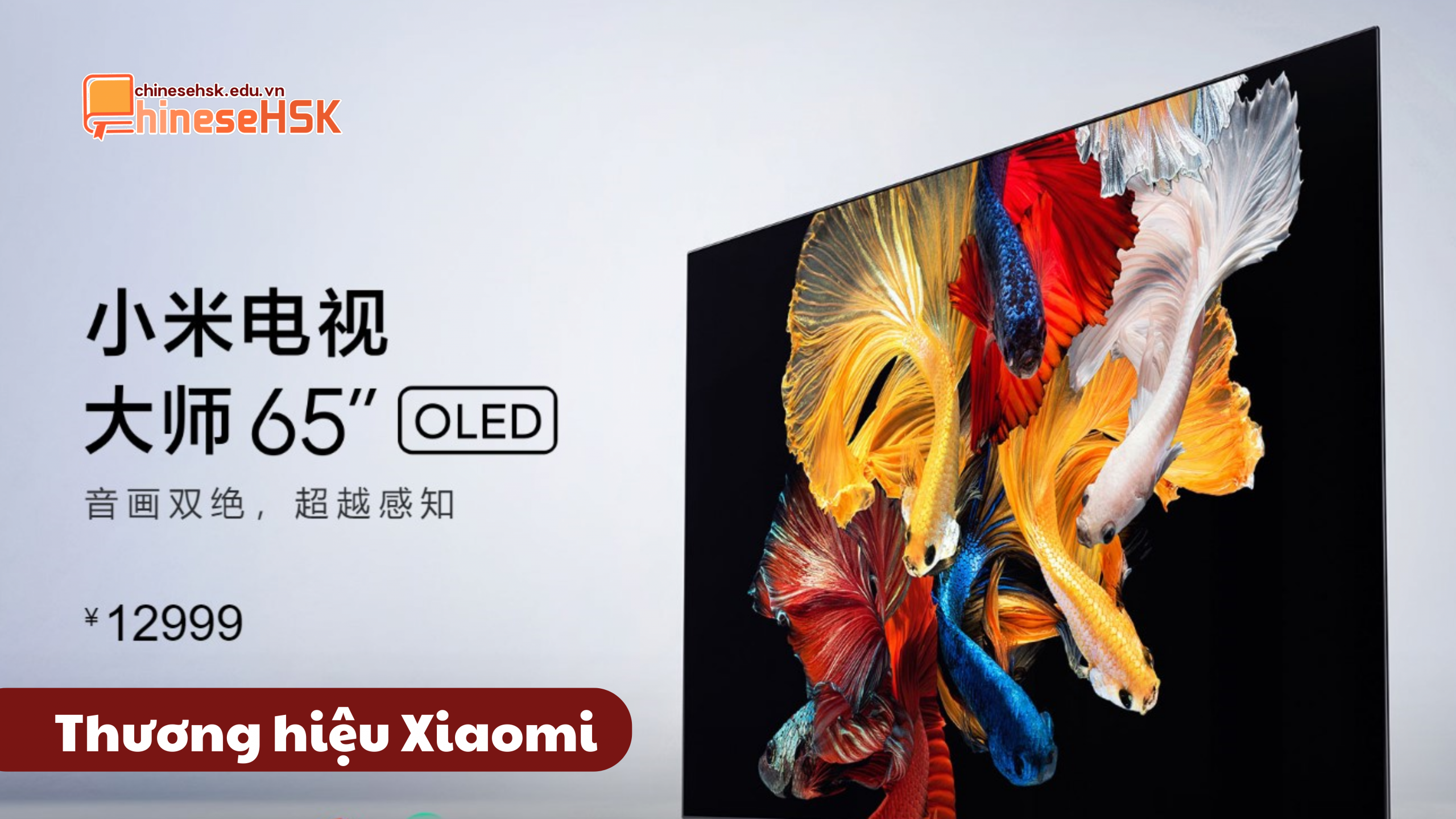 Thương hiệu Xiaomi