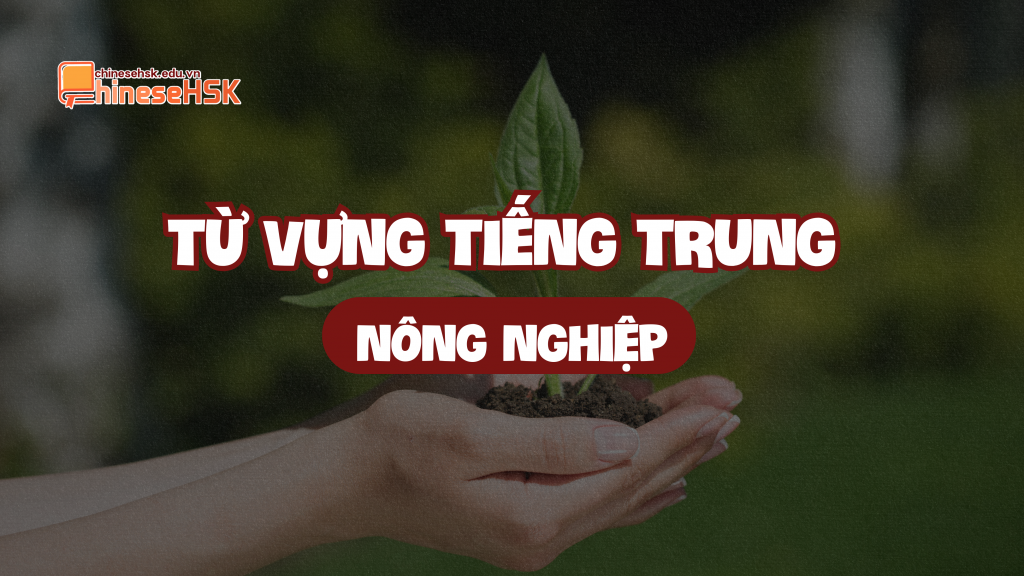 Từ vựng tiếng Trung chủ đề Nông nghiệp