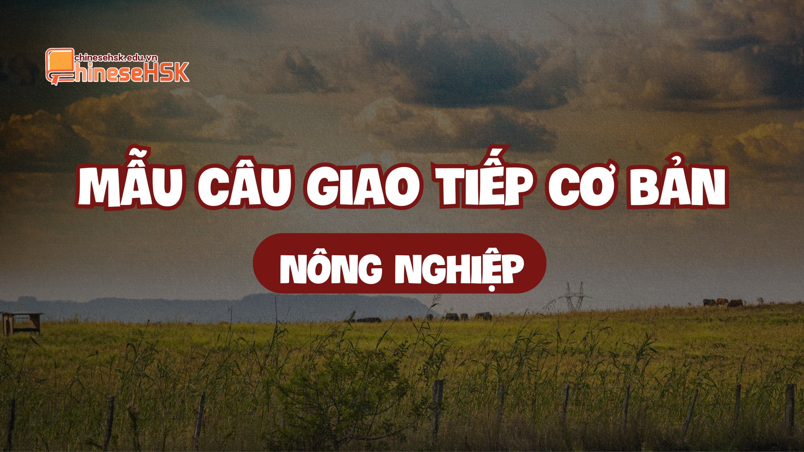 Mẫu câu giao tiếp cơ bản chủ đề Nông nghiệp
