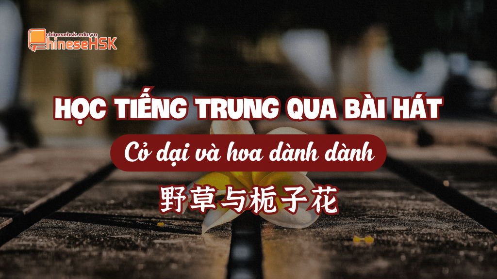 Học tiếng Trung qua bài hát "Cỏ dại và hoa dành dành"